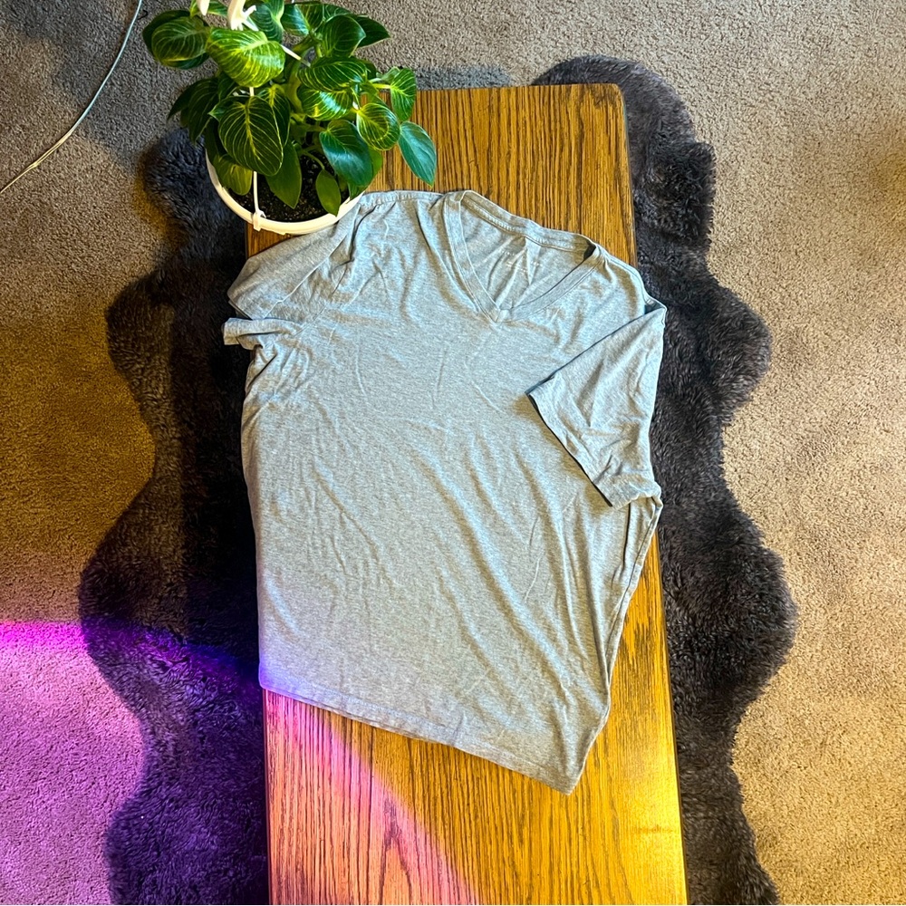 Everlane Gray V-Neck L